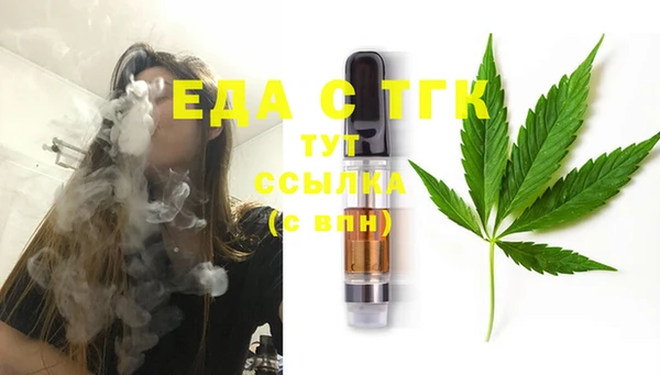 стаф Бородино