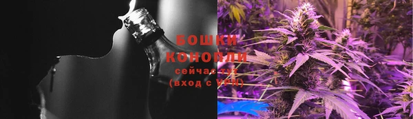 стаф Бородино