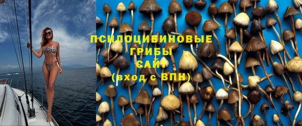 стафф Белоозёрский