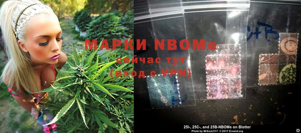 стаф Бородино