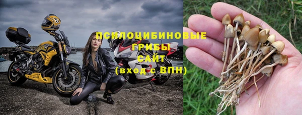 синтетический гашиш Белокуриха