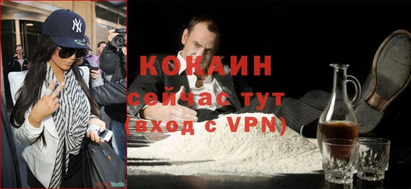 стаф Бородино