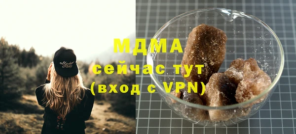 стаф Бородино